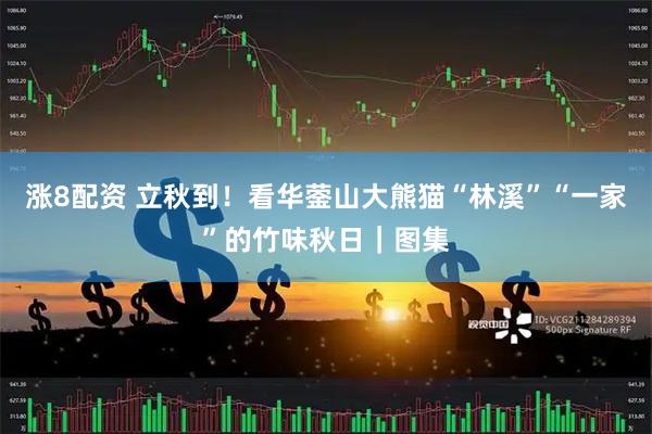 涨8配资 立秋到！看华蓥山大熊猫“林溪”“一家”的竹味秋日｜图集