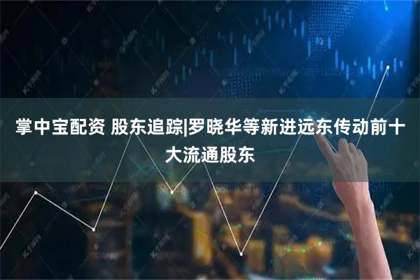 掌中宝配资 股东追踪|罗晓华等新进远东传动前十大流通股东