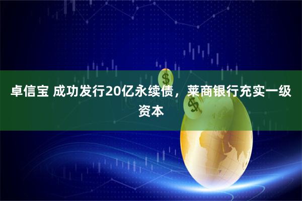 卓信宝 成功发行20亿永续债，莱商银行充实一级资本