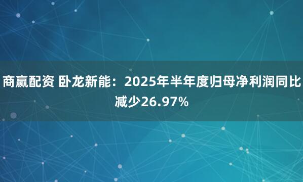 商赢配资 卧龙新能：2025年半年度归母净利润同比减少26.97%